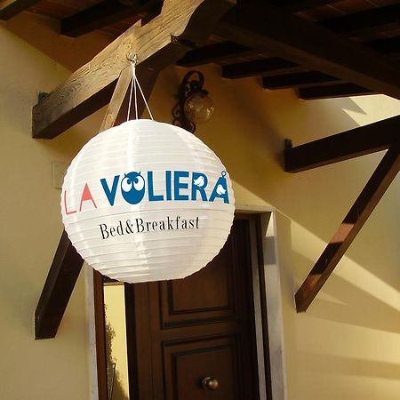 La Voliera Bed & Breakfast 比萨 外观 照片